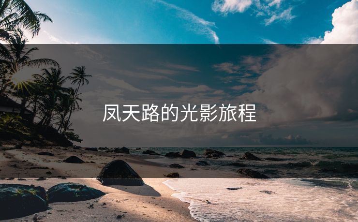 凤天路的光影旅程
