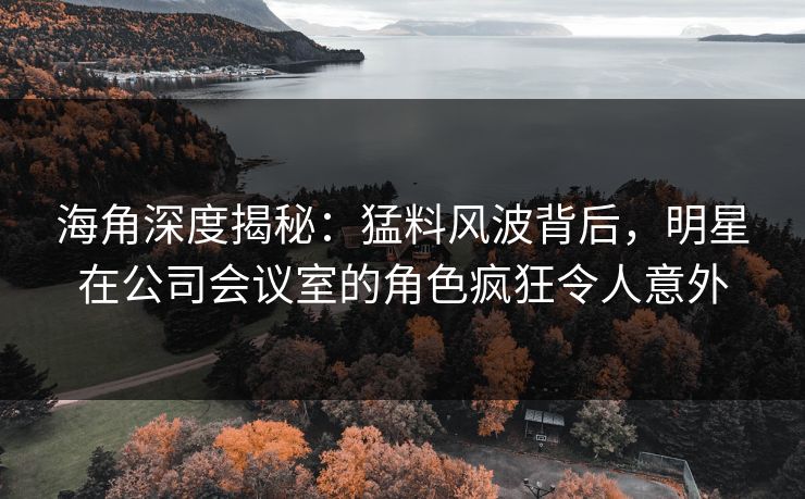 海角深度揭秘：猛料风波背后，明星在公司会议室的角色疯狂令人意外