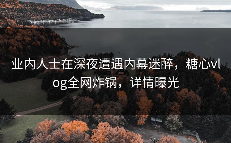业内人士在深夜遭遇内幕迷醉，糖心vlog全网炸锅，详情曝光