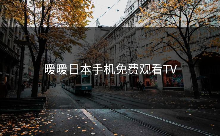 暖暖日本手机免费观看TV 暖暖日本手机免费观看TV