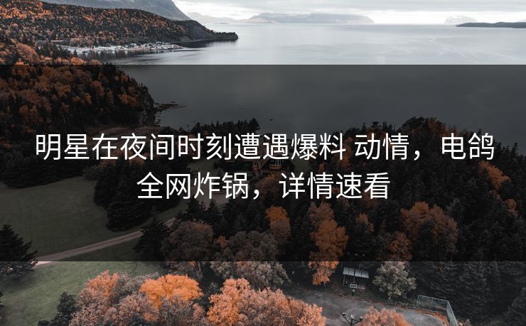 明星在夜间时刻遭遇爆料 动情，电鸽全网炸锅，详情速看