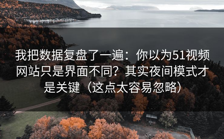 我把数据复盘了一遍：你以为51视频网站只是界面不同？其实夜间模式才是关键（这点太容易忽略）
