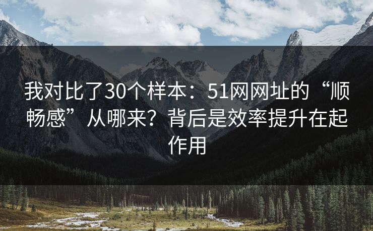 我对比了30个样本:51网网址的“顺畅感”从哪来?背后是效率提升在起作用 我对比了30个样本:51网网址的“顺畅感”从哪来?背后是效率提升在起作用