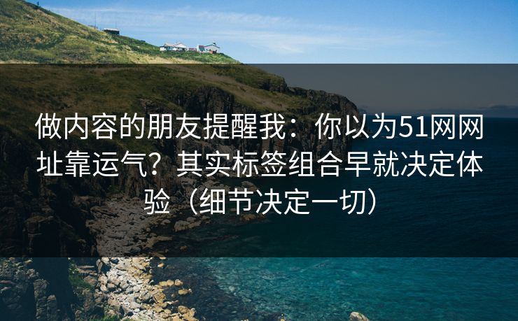 做内容的朋友提醒我：你以为51网网址靠运气？其实标签组合早就决定体验（细节决定一切）