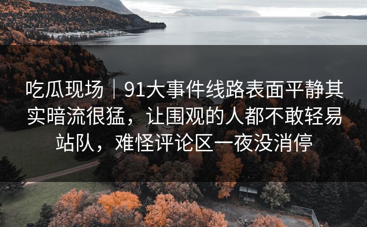 吃瓜现场｜91大事件线路表面平静其实暗流很猛，让围观的人都不敢轻易站队，难怪评论区一夜没消停